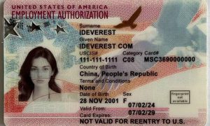 Employment Authorization Card