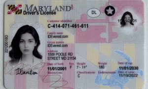 Maryland ID