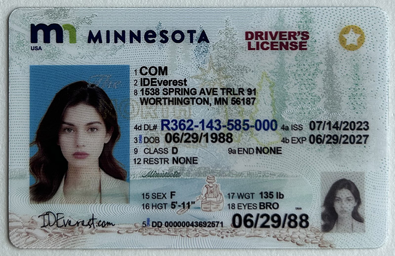 Minnesota 1 1