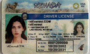 Nevada ID