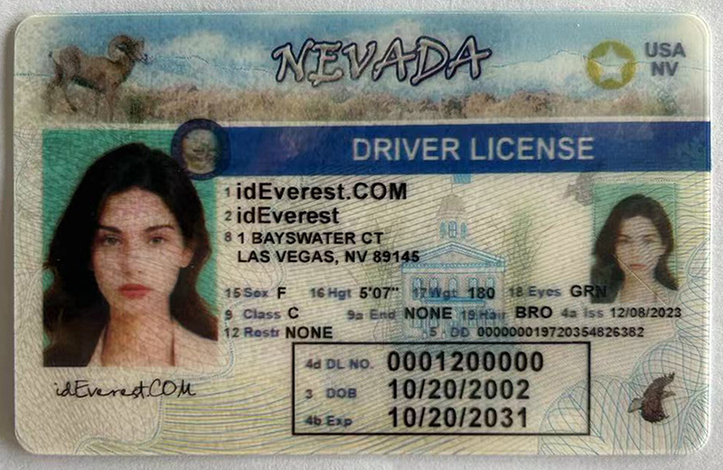 Nevada1 1