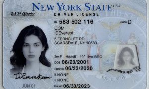 New York ID