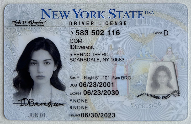 New York 1 2
