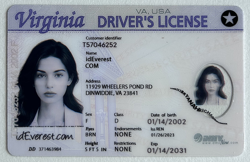 Virginia 1 1